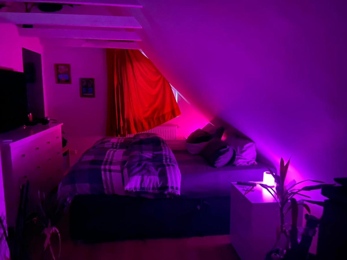 Appartamento Hoch Hamburg, Ein Traum Unterm Dach Geesthacht Esterno foto